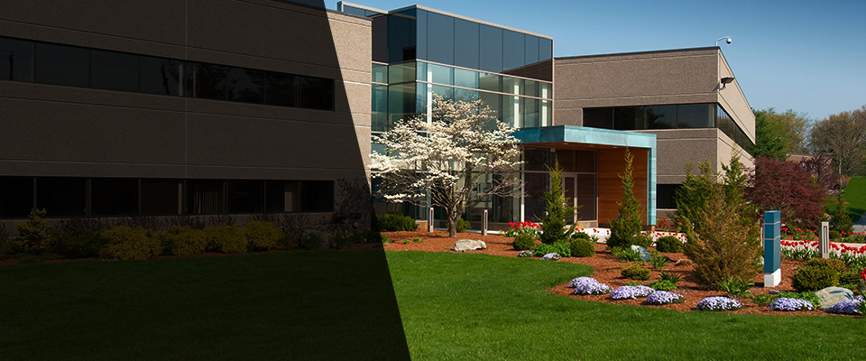 Randallstown Landscapers