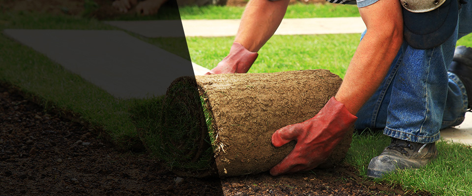 Randallstown Landscapers